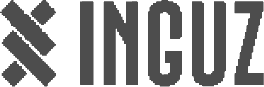 The logo of INGUZ displayed in a modern, geometric font.