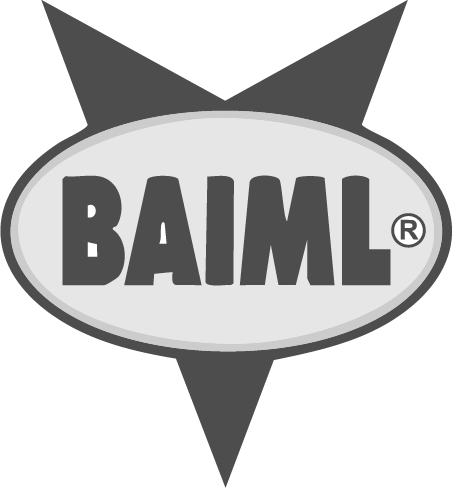 A stylized logo featuring the word 'BAIML' within an oval shape, flanked by two pointed elements.